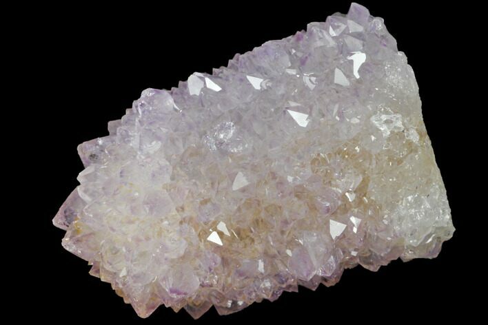 Cactus Quartz (Amethyst) Crystal - South Africa #132478